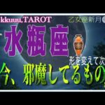 周りの雑音より心に従うこと📣水瓶座♒さん【乙女座新月🌚〜あなたの邪魔をするものとは⁉️】#2025 #タロット占い #星座別