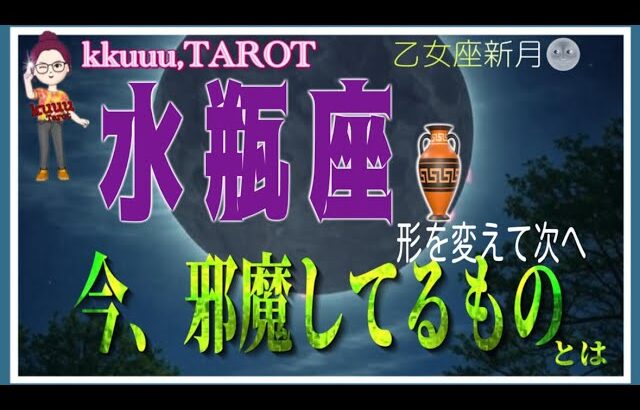 周りの雑音より心に従うこと📣水瓶座♒さん【乙女座新月🌚〜あなたの邪魔をするものとは⁉️】#2025 #タロット占い #星座別