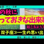 【双子座】この秋に届くとっておきな出来事🥹✨️🌈▼タロットカード&オラクルカード&ルノルマンカード占い