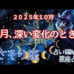 【さそり座 2025年10月の運勢】占い猫Aruの星占い🌙 総合運・恋愛・金運・仕事・健康・ラッキーガイド