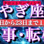 やぎ座♑️連休明け仕事運編💫9月16日から23日までタロット1日1枚引き！✨安定感がある☺️