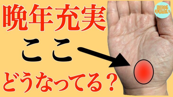 50代以降人生輝ける手相『二重生命線』徹底解説！鑑定歴25年占い師の手相勉強会第107回。#手相  #生命線