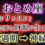 おとめ座。3年9か月ぶりに《必要な財源》が生まれる【不遇期→神縁期】の乙女座の解説。