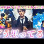 【ガチ本音💖】ずっと言えなかったけど…無言を貫くあの人の超本音❤️お伝えします。個人鑑定級✨タロット占い