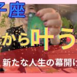【双子座】これから叶うこと／大転換期‼️脱皮し大空へ羽ばたくよ！新たな章の幕開けです！