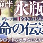 【水瓶座】超レア回‼️全体運！見逃し注意⚠️運命の伝達あり❤️‍🔥【仕事運/対人運/家庭運/恋愛運/全体運】10月前半 タロット占い