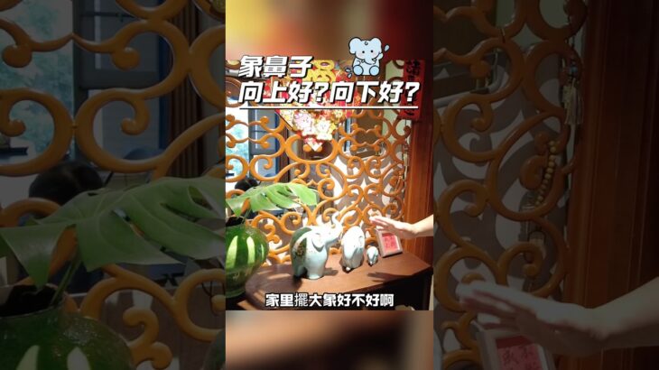 招財佈局的風水大象，象鼻子向上和向下的區別！#居家風水 #風水擺件 #風水佈局 #fengshui