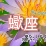 【10月前半✴︎蠍座】限界を越える時！越える手段の変化🔥ユーモアや面白味を優先することで駆け抜ける◎【2025】
