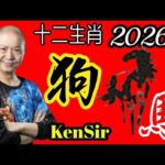 🐶㊙️🦄💖【馬年十二生肖】｜2026年｜生肖狗｜運程｜#電話號碼昇運 #八字 #十二生肖