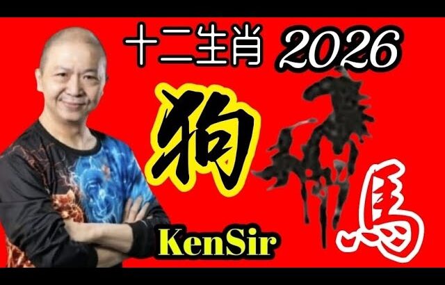 🐶㊙️🦄💖【馬年十二生肖】｜2026年｜生肖狗｜運程｜#電話號碼昇運 #八字 #十二生肖
