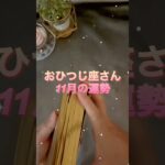 【牡羊座】2025年11月♈️おひつじ座さんの運勢️🔮#牡羊座 #おひつじ座 #占い