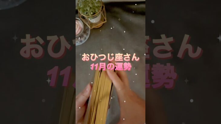 【牡羊座】2025年11月♈️おひつじ座さんの運勢️🔮#牡羊座 #おひつじ座 #占い