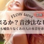 【恋愛占い/忖度なし】連絡来るか？音沙汰なしか？（辛口あり🌶️）あの人の本音を赤裸々に告白🔮【タロット占い・オラクルカード・カードリーディング】