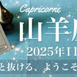 【やぎ座】2025年11月♑️ やぎ座さん、半端ない抜けた感！どんどん光が見えてくる、終幕と締めくくり、新しい芽が出る