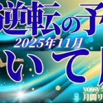 11月の運勢🧚いて座　息止まった…！ ここから想像以上の展開が待ってます！！(お金・仕事・人間関係)