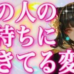 タロット占い恋愛【出た〜💕○のカード🃏】お相手の気持ちに起きてる変化🔮さぁて！どの選択肢かな？🌸