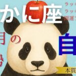 【蟹座♋】10月の運勢🎃素直な言葉が深い絆を育てる🍎