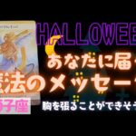 【獅子座】魔法のメッセージ🎃🎉▼タロットカード&オラクルカード&ルノルマンカード占い
