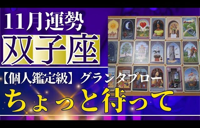 【双子座♊️11月運勢】うわっすごい！個人鑑定級のグランタブローリーディング✨ちょっとだけ待ってみよう！復活のときの奇跡に驚きがが隠せません！（仕事運　金運）タロット＆オラクル＆ルノルマンカード