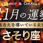 【蠍座♏️11月運勢】もう祝福が止まらない🌈引き続き最強運気です！タロット＆オラクル／Tarot&Oracle card reading／Scorpio