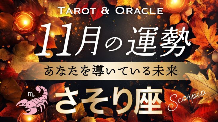 【蠍座♏️11月運勢】もう祝福が止まらない🌈引き続き最強運気です!タロット&オラクル/Tarot&Oracle card reading/Scorpio