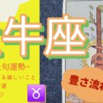 【牡牛座】さすがおうし座🤣‼️豊かさを手にするのはあなた🌈💕新しい流れがやってくるから安心してね︎🤍︎2025年11 月運勢 【タロット個人鑑定級リーディング 】