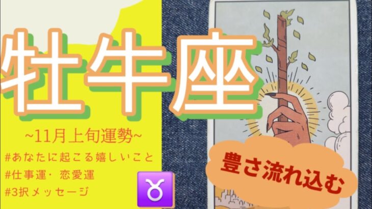 【牡牛座】さすがおうし座🤣‼️豊かさを手にするのはあなた🌈💕新しい流れがやってくるから安心してね︎🤍︎2025年11 月運勢 【タロット個人鑑定級リーディング 】
