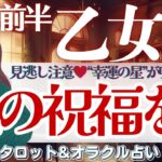 【乙女座】見逃し注意💝”幸運の星”が味方する♥️魂の道を進むとき🌈✨【仕事運/対人運/家庭運/恋愛運/全体運】11月前半 タロット占い
