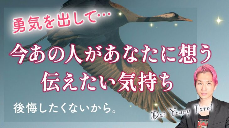 今あの人があなたへ想う気持ち🕊️まるごと伝えたいこと【男心タロット、細密リーディング、個人鑑定級に当たる占い】