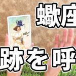 蠍座さんもうすぐ運命が動き出します😭【タロット占い】この動画を見つけてくれた蠍座さんへカードからのメッセージをお伝えいたします🔮
