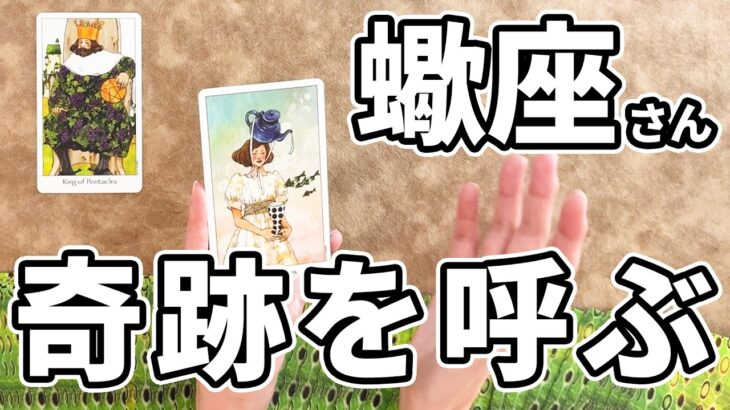蠍座さんもうすぐ運命が動き出します😭【タロット占い】この動画を見つけてくれた蠍座さんへカードからのメッセージをお伝えいたします🔮