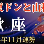 【蠍座】2025年11月のさそり座の運勢～札束ドンと山積み～