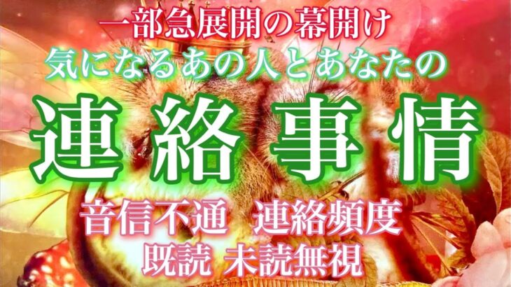【🦋一部急展開の幕開け💞】気になるあの人とあなたの連絡事情に対する思い-音信不通、連絡頻度、未読既読無視🦋