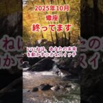 【蠍座】2025年10月さそり座占い #蠍座 #さそり座 #shorts