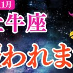 【牡牛座】2025年11月おうし座仕事運「報われます‼️」