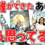 【鳥肌級神選択肢アリ😭💖】最近距離ができた・曖昧な関係のあの人は今あなたをどう思ってる⁈ど正直な気持ち・本音を恋愛タロットで暴露。覚悟して見てください