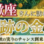 【蠍座】報酬確定！信じた道に“奇跡のチャンス”が届く🎯 ／ 奇跡の金運💰 ／ 秋の実りリーディング ［オラクル＆タロット占い］
