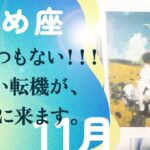 圧倒的。レベチに強い引き寄せきてる。持ってますね、とても。【11月の運勢　乙女座】