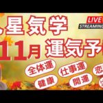 11月運気予報🍁九星気学別🍁全体運・仕事運・恋愛運・開運アドバイス🌈#占い #運気アップ