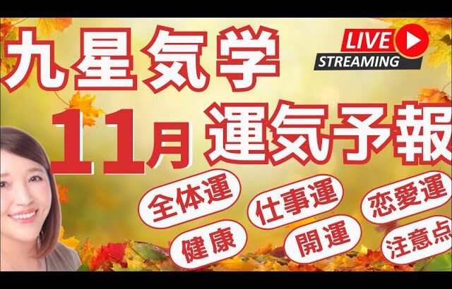 11月運気予報🍁九星気学別🍁全体運・仕事運・恋愛運・開運アドバイス🌈#占い #運気アップ