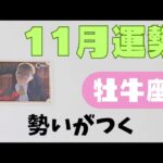【牡牛座】11月の運勢🌈▼タロットカード&オラクルカード&ルノルマンカード占い