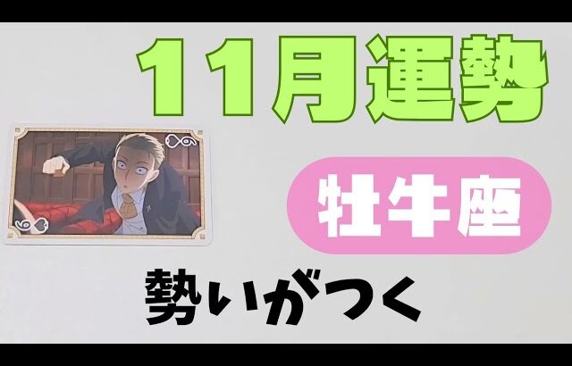 【牡牛座】11月の運勢🌈▼タロットカード&オラクルカード&ルノルマンカード占い