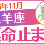 【山羊座】2025年11月やぎ座♑「運命 止まる」