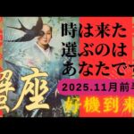 【2025.11月前半💙】蟹座さんの運勢♋️時は来た。選ぶのはあなたです!!好機到来✨