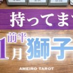 獅子座♌️11月前半✨この動画に出会った獅子座さん、持ってる人です‼️