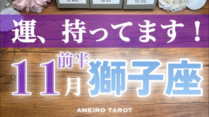 獅子座♌️11月前半✨この動画に出会った獅子座さん、持ってる人です‼️