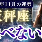 【天秤座】2025年11月 てんびん座の運勢「選べない私」