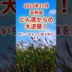 【天秤座】2025年11月てんびん座占い #天秤座 #てんびん座 #shorts