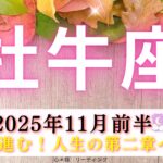 【おうし座11月前半】やっと進む‼️人生の第二章へ🌈✨心も解放されていく😃💕