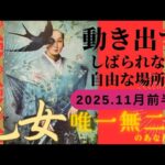 【11月前半💙】乙女座さんの運勢♍️動き出す。しばられない自由な場所へ。唯一無二のあなたで✨